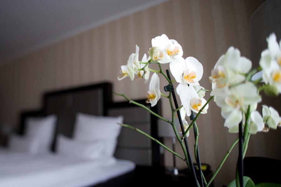 Top Hotel Kraemer Koblenz  Szoba fotó